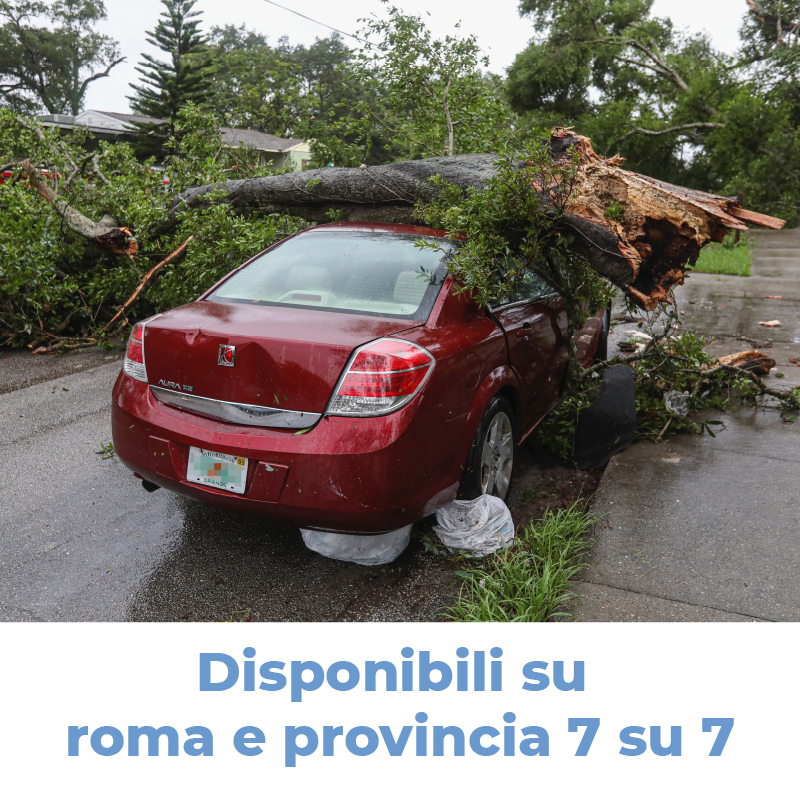 demolizione-radiazione-auto